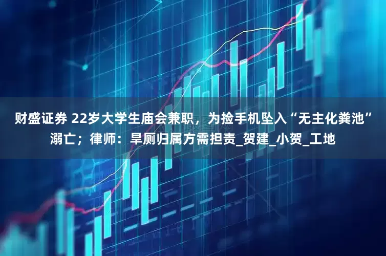 财盛证券 22岁大学生庙会兼职，为捡手机坠入“无主化粪池”溺亡；律师：旱厕归属方需担责_贺建_小贺_工地