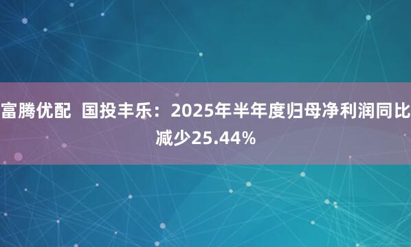 富腾优配  国投丰乐：2025年半年度归母净利润同比减少25.44%